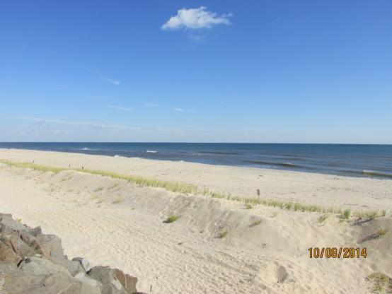 8, 2014) shows the added dune. Figure 8. This site was restored prior to the fall 2013 survey.