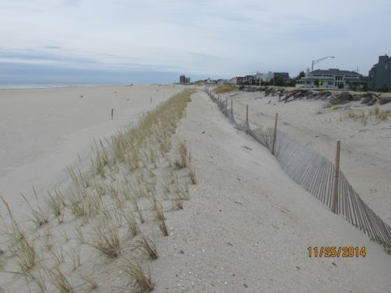 A small dune was added by the summer of 2014 as sand was redistributed somewhat at the water s edge over the course of 2014.