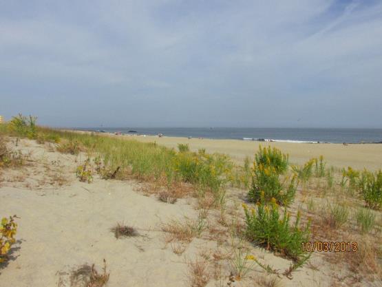 NJBPN 176 Seven President s Park, Long Branch This site is a popular recreational park with a partial ridge of