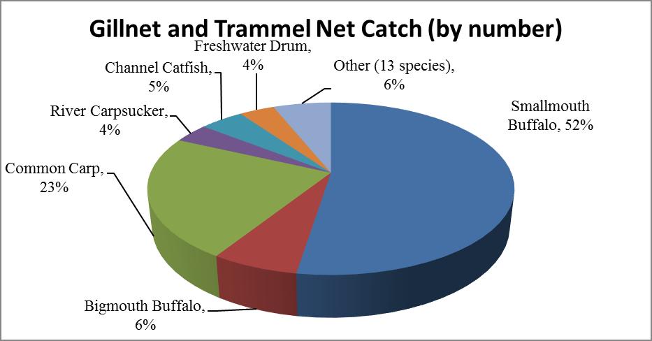 Figure 5. The percent catch by number of all fish caught in MN DNR gill and trammel nets on the Mississippi River Pool 2 and St. Croix River during 2013. Figure 6.