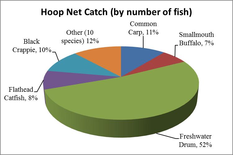 Figure 9. The percent catch by number of all fish caught in hoop nets on the Mississippi River Pool 2 and St. Croix River during 2013. Figure 10.