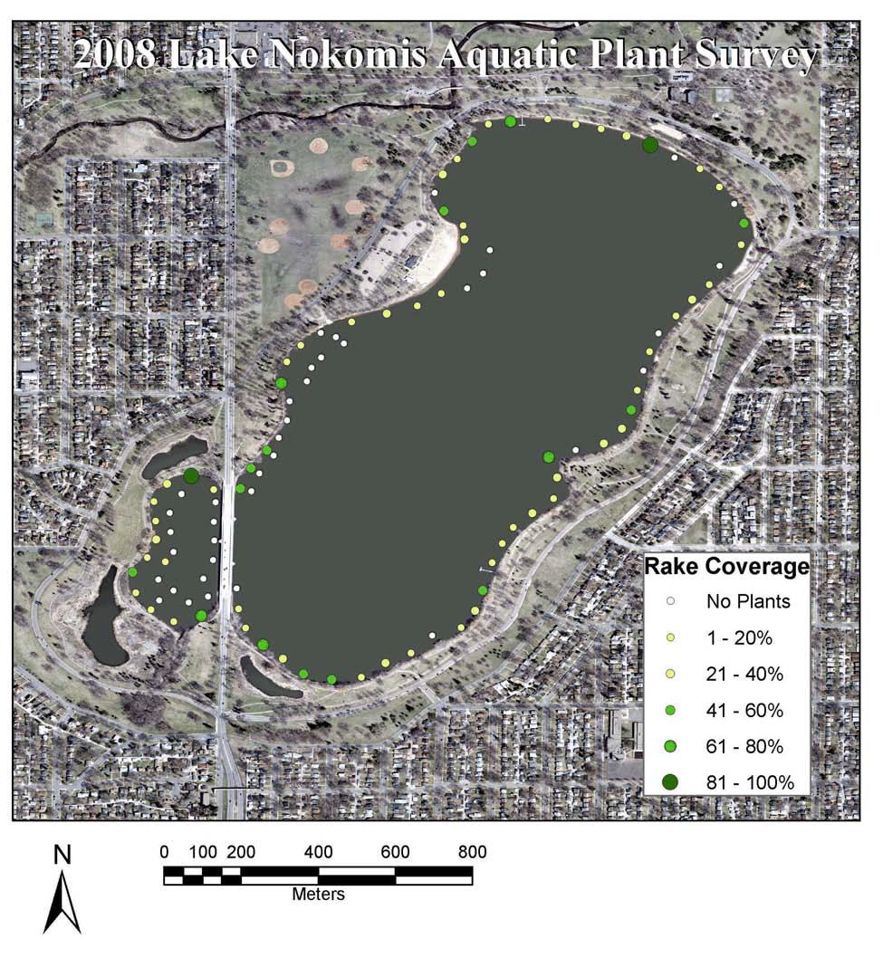 A modified point intercept survey was conducted by the Minneapolis Park and Recreation Board in September of 2008. A map of aquatic plant distribution is shown in Figure 6.