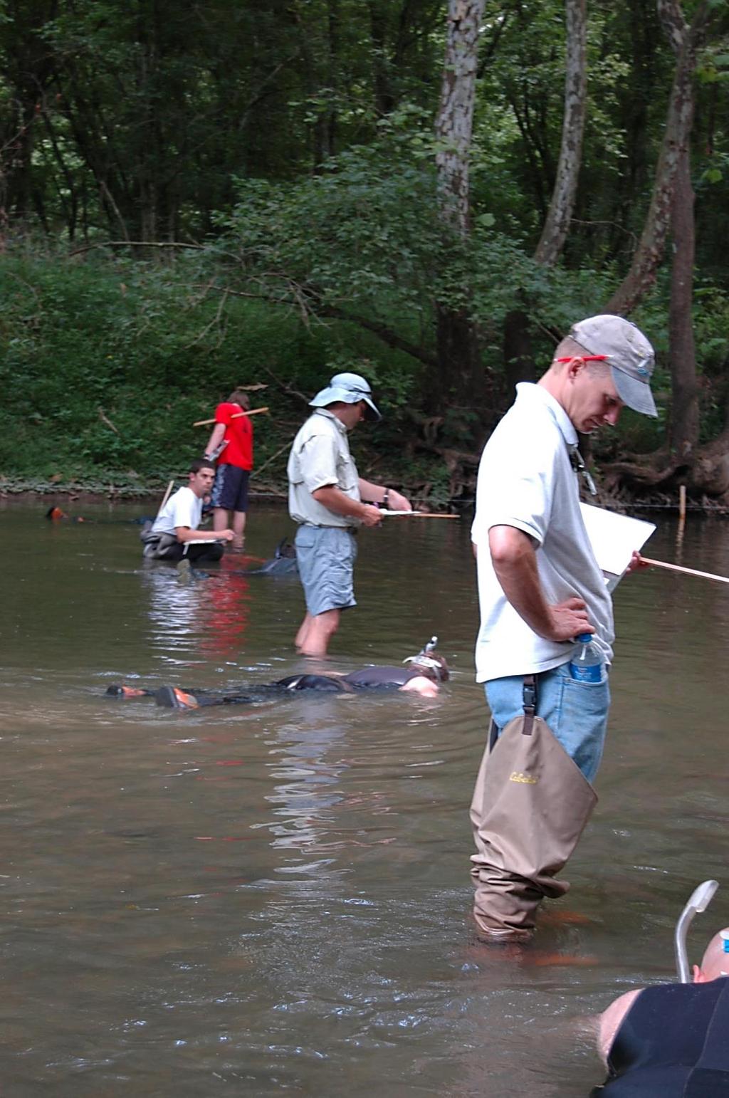 Musselrama 2014 Clinch River, Speers Ferry August 12-15, 2014 Released 5,716 mussels from AWCC since 2012 6 cultured