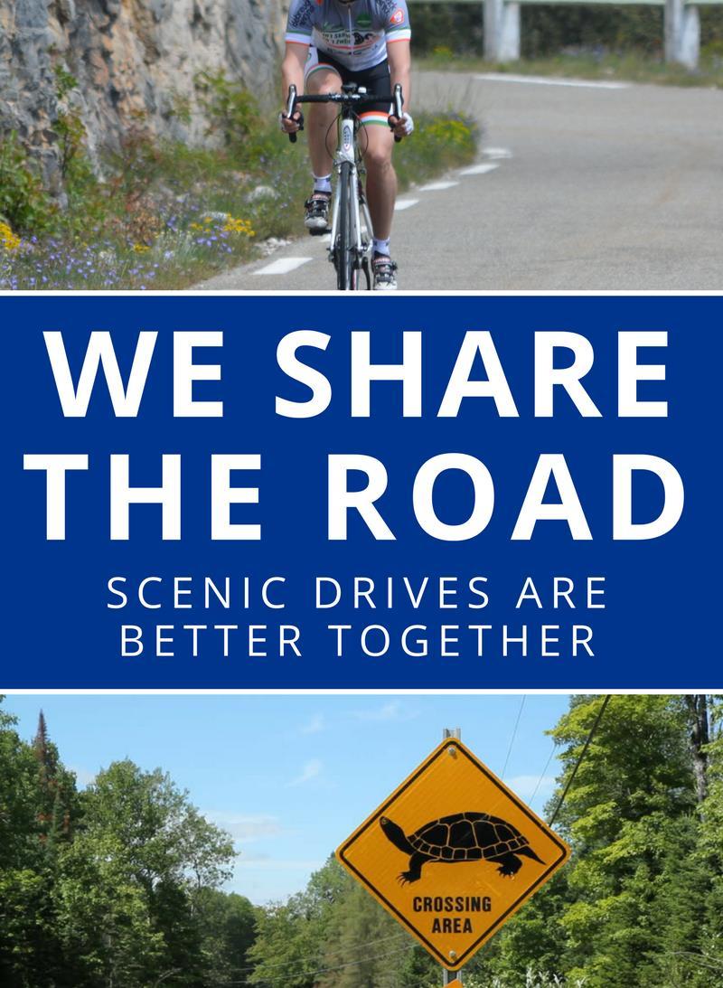 Share the Road When everyone drives with care and courtesy, it is easy to share the road Be Safe Be