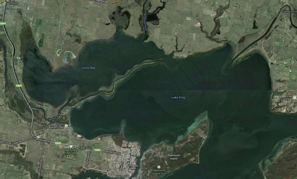 Nicholson River Tambo River Mitchell River Figure 2. Locations of the Mitchell (Jones Bay), Nicholson (Jones Bay) and Tambo rivers (Lake King North) in the Gippsland Lakes.