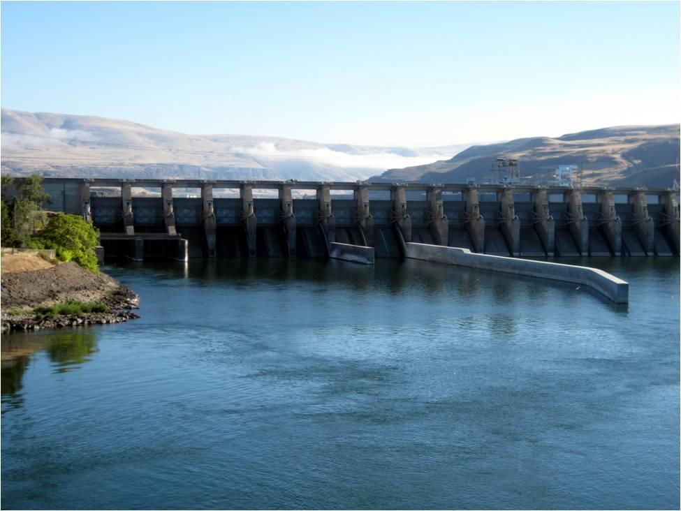 Introduction The construction of a ~145 meter spill wall at the western base of The Dalles Dam was completed in April 21 and was designed to improve the survival of spillway-passed juvenile salmonids
