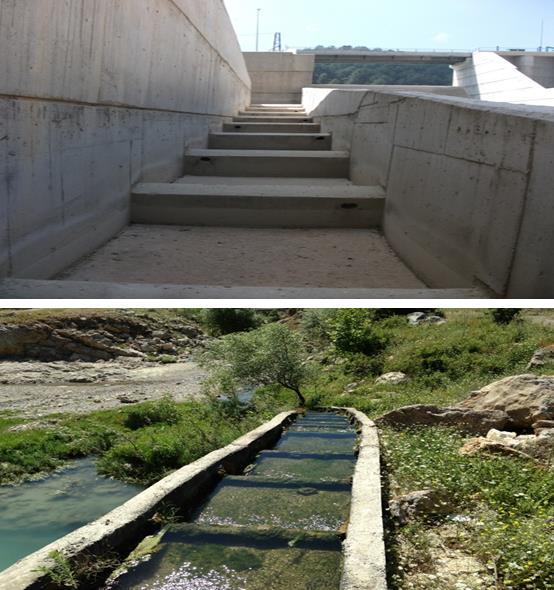 In Ceyhan River basin three types of fish passages have been constructed: Pool-orifices passes, Vertical slot passes and Denil Passes Majority of these are