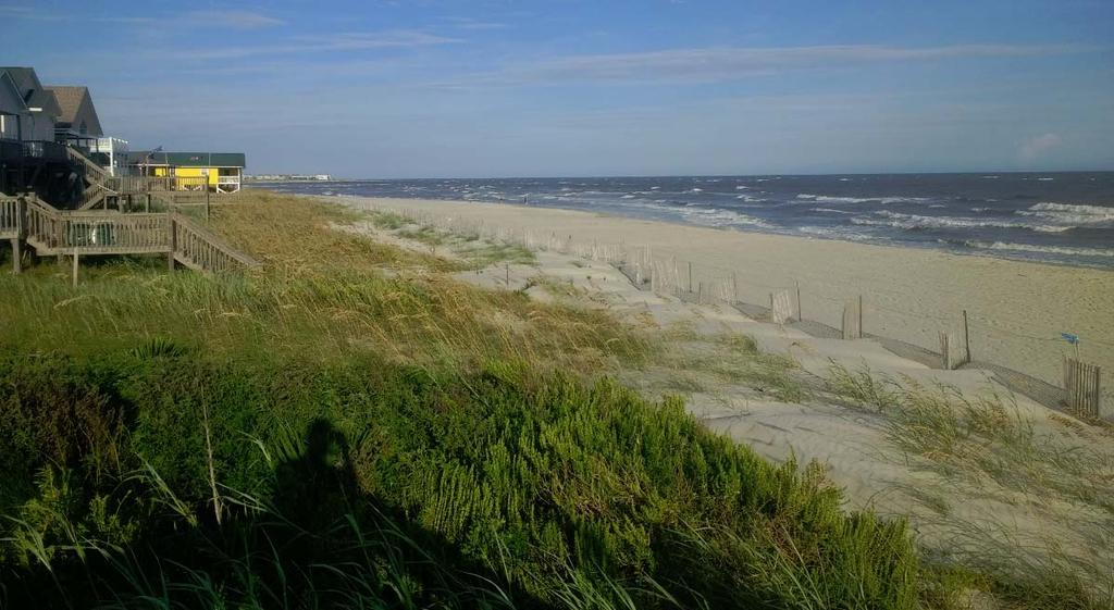 ~220+00 showing planted dune vegetation. (ATM photo, taken August 2018). Figure 2-25 (B).