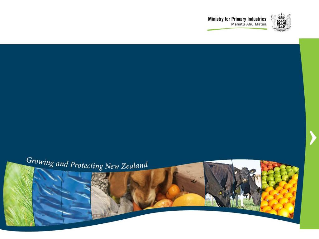NZ s Fishery Management Framework The Fisheries Act 1996 & Spatial Management