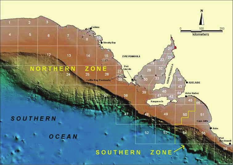 Southern Australia Fishing Zones Image courtesy of SARDI In 1977, the northern and southern zones of the rock lobster fishery were established (Linnane et al., 25).