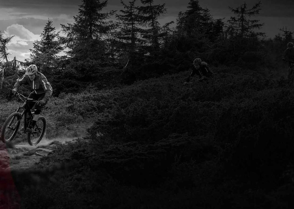 HUNTER ENDURO SHORTS The Hunter Enduro Shorts are the all-round beast of