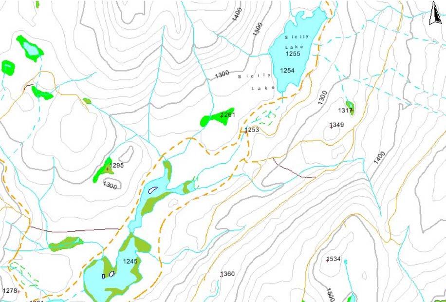 Site 8: Inlet tributary to Double Lake (North), Road 20 Site 8 UTM: 677435E, 5741307N, Zone 10 Sicily Lake Site 8, Score 25, Rank 3 Rd. 20 There are two culvert structures at this location.