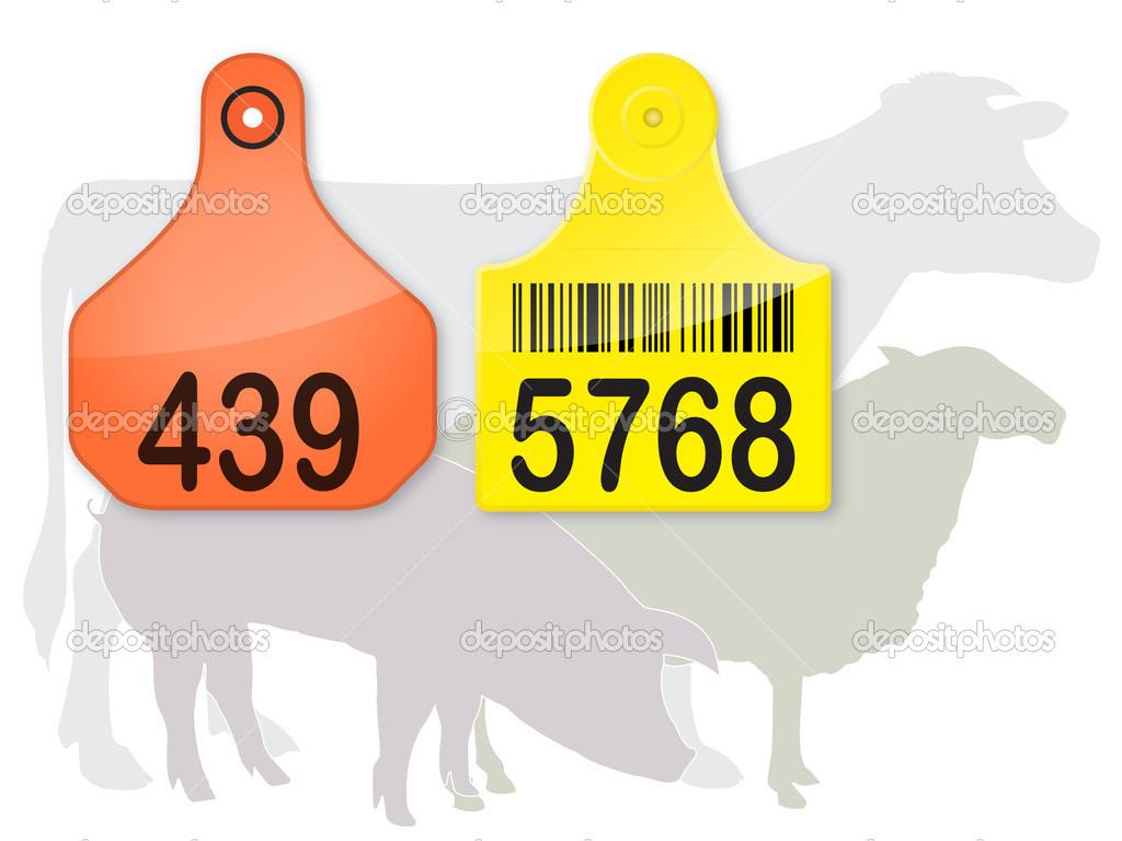 4-H Livestock Ear Tag Policy 1. Ear tags are $1.50 each. Please make your check payable to: 4-H Leader s Association. 2. Have your animal tagged.