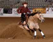 The average member is most likely to have been involved in showing and riding prior to joining the NRHA.