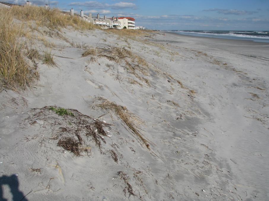 The ACOE fill of 2006 included this site and extended 10 blocks to the south. This site benefits from a dominant transport of sand from north to south along this shoreline.