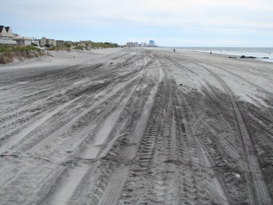 Borough of Longport chose to participate in the project.