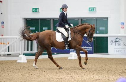 Thoroughbred Championships Due to popular demand British dressage is proud to welcome back the Nettex Thoroughbred Dressage Championship which will