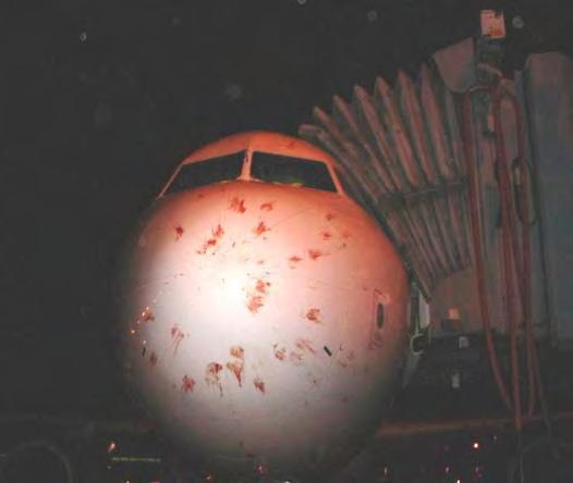 International) Phase of flight: Final approach Damage: #1 Engine