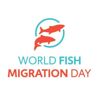 On WFMD, many activities such as workshops on fish passage management and river visit programs are organized, united by a common theme Connecting Fish, Rivers and People.