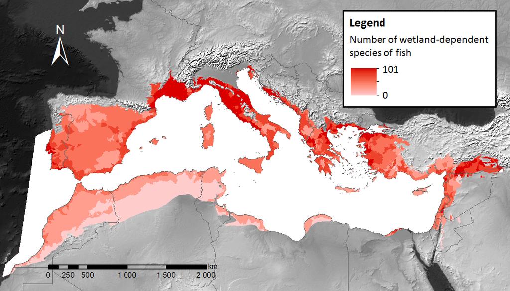 are endemic (253), sometimes in only one river basin (Source IUCN Med, The status and distribution of freshwater fish endemic to the Mediterranean basin (2006)).