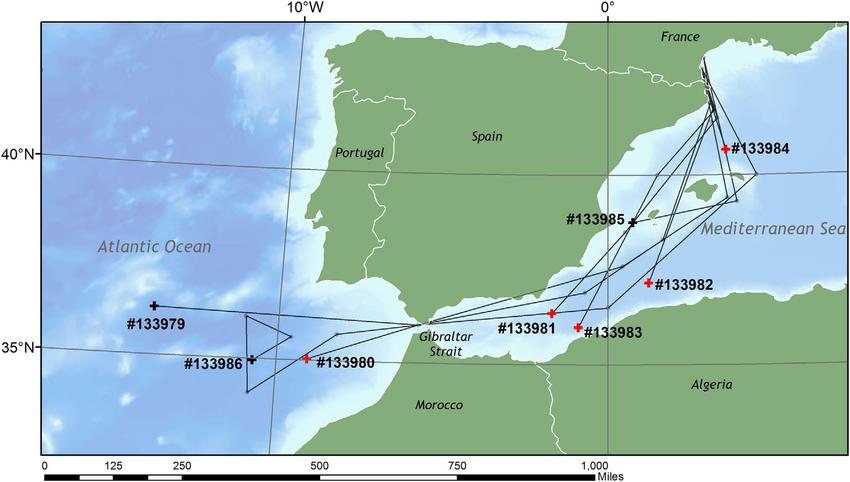 Fig: Map of the western Mediterranean Sea and Eastern Atlantic Ocean, showing the approximate tracks of the individual tagged eels, based on a restricted number longitude and latitude estimates.