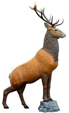 Standing Elk