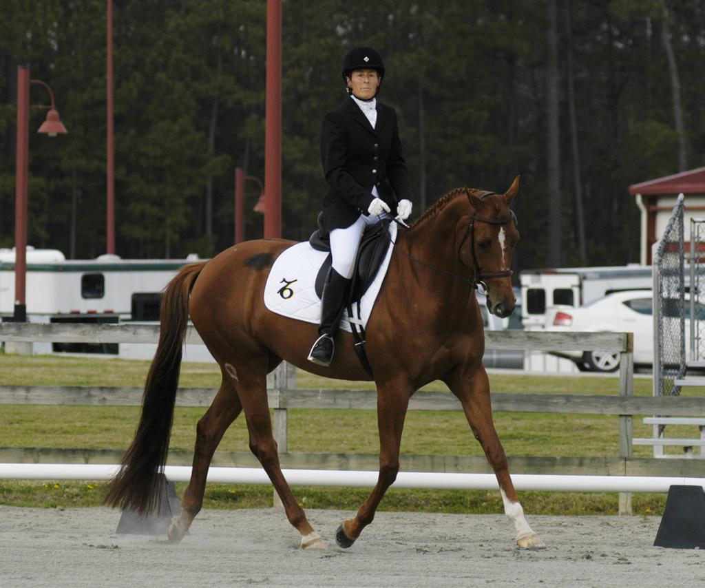 AQHA Dressage cont d high 60s and 70s in Training Level and hopes to be as successful at First Level in 2011.