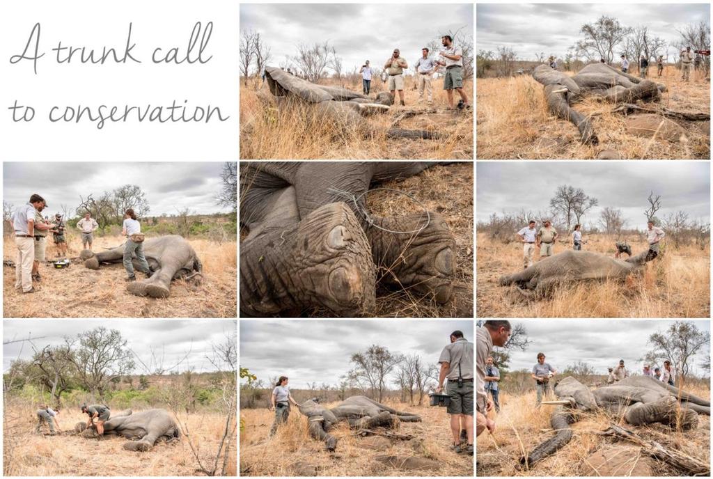 Conservation at its finest Article by Joffers McCormick All throughout Africa there is
