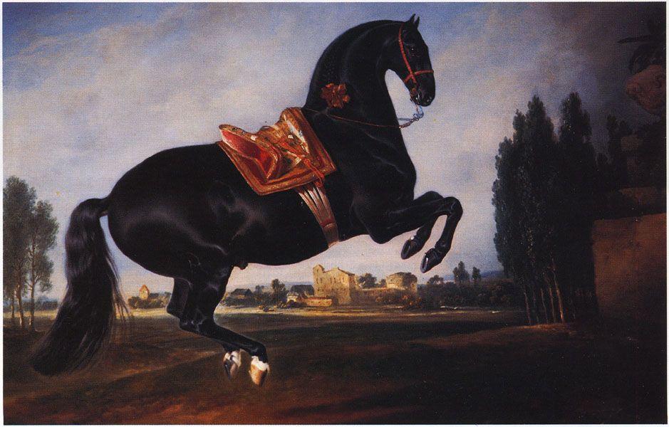 and the Spanish horse s unparalleled capabilities made him the heart of the discipline. The best-known school was, of course, the Spanish Riding School.