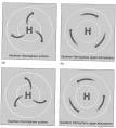 Rotation With Earth Rotation Coriolis Force (figures from Weather &
