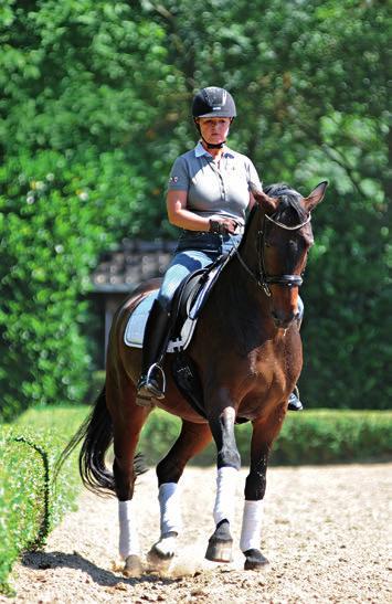 DRESSAGE REFERENCE Explanations and definitions in seconds that will last a