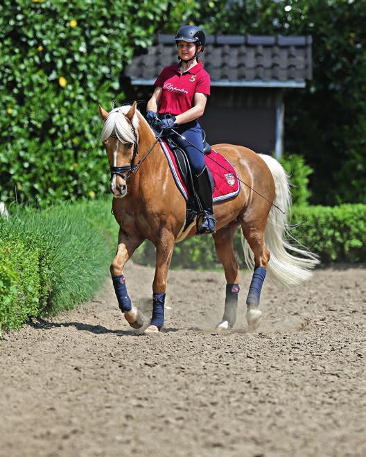 Photographs demonstrating how dressage movements should look.