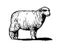 Horse Pets Poultry Rabbit Breeding Sheep Market Lamb Swine Weigh-in Identification due on 4honline by May 15th 4-H Horse ID on 4honline Only the member identifying *must include at least one side