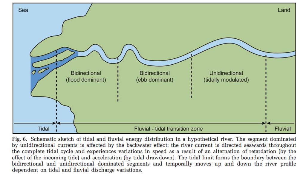 - Brinkpoint Height The Backwater Zone Little literature as focused in on the impact of tides on bedforms in this specific part of estuarine systems.