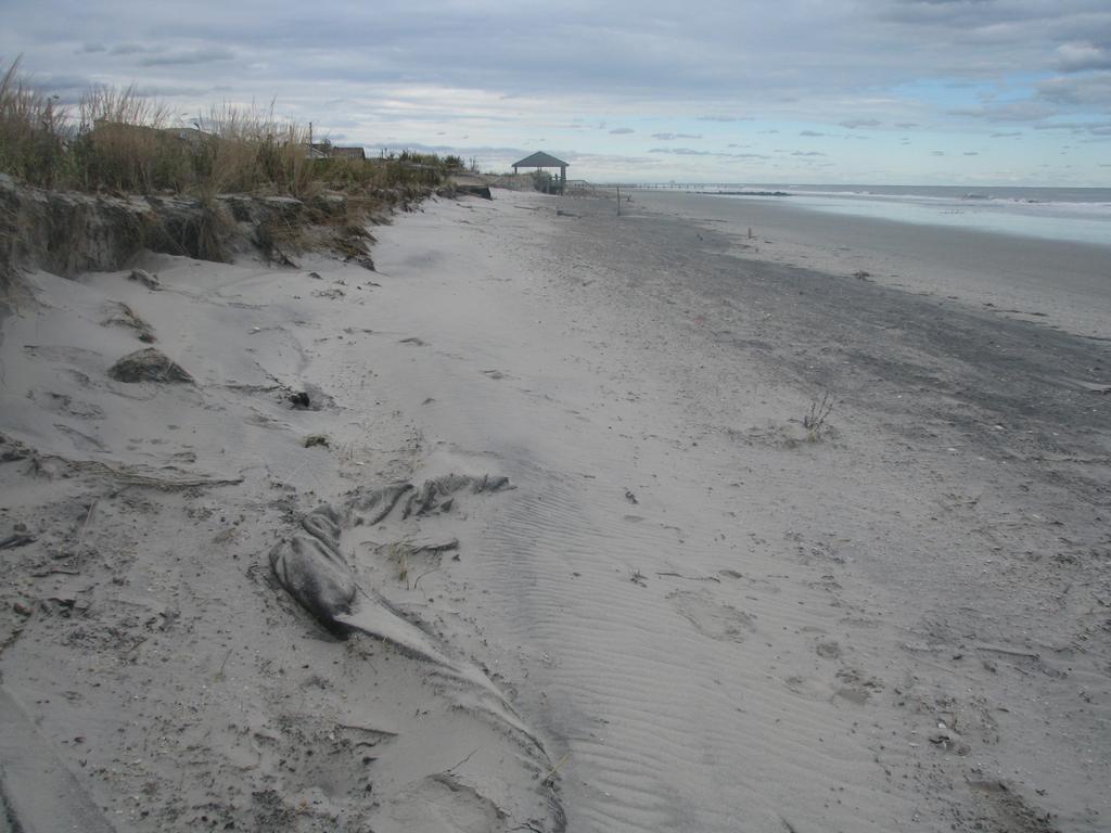 A REVIEW OF THE CONDITION OF THE MUNICIPAL BEACHES AS A RESULT OF HURRICANE SANDY IN THE BOROUGH OF STONE HARBOR, CAPE MAY COUNTY, NEW JERSEY View along the dune scarp from 103 rd Street on October