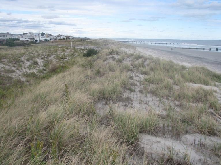 Resulting shoreline retreat from Sandy was 34 feet as 23.45 yds 3 /ft. of sand was stripped from the dune and beach.