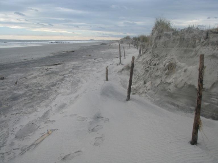 The onshore storm loss was 28.34 yds 3 /ft. of sand removed from the dune and beach volume with a 4 to 6-foot scarp in the seaward dune face. Photograph 3.