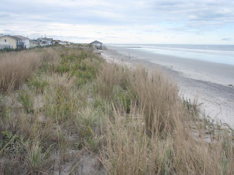 Hurricane Sandy dramatically reversed the trend, the beach and dune were eroded the shoreline position retreated 90 feet and the beach elevation was 4 feet lower across most of the remaining beach.