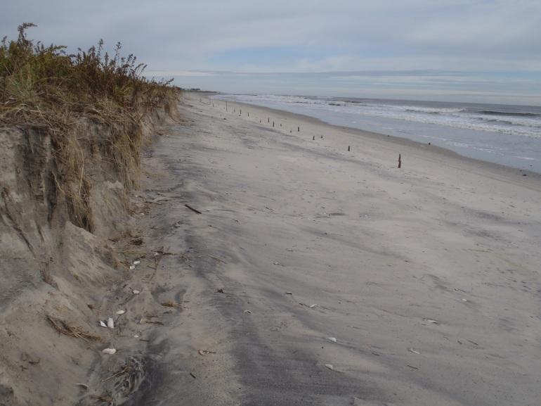 However, like the other Borough beaches that received sand during the 2011 ACOE project this location suffered significant erosion of the dry beach berm during Hurricane Irene and the October 2011