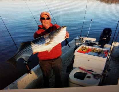 com Jim Shreiver caught this striper on bait from Judy s Grocery. Photo Judy s Grocery. Jim Shreiver with big Norris Lake largemouth bass. Photo courtesy Judy s Grocery.