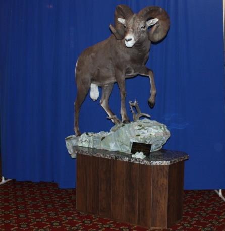 Professional Division: Best of Category Gamehead: Rhyan Peralta - Bighorn Sheep Masters Division: Best of Category Fish: Jeff Mourning -