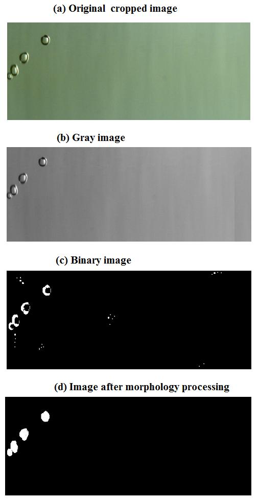 4. Previously image subtractio was utilized to lesse the backgroud oise. Hece a calibratio image was obtaied with o bubbles.