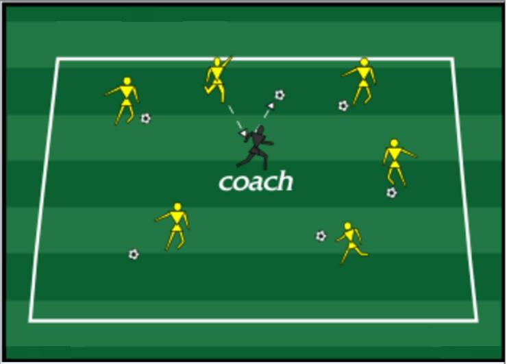 BEES - U4 AND U5 DIVISIONS 1. Use a 40x30 grid (half field). Adjust size as necessary. 2. The bees (players) attempt to sting the coach and parents. 3. Every player needs a ball. 1. Start by having the bees (players) dribble around free in the grid buzzing like a bee.