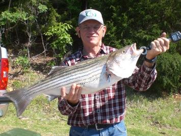 CAPTAIN RON S FISHING REPORT We had a cold front come through this last weekend, brrrr, and as I was fishing Saturday morning, Sep 13th, the surface water temperature dropped below 80 degrees.