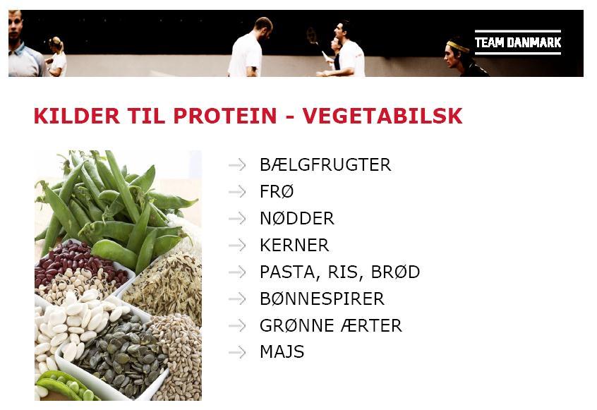 PROTEIN Protein