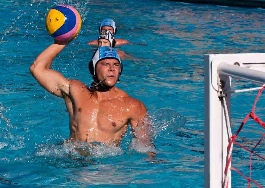 CONTACTS Centre of excellence at Cronulla High School Sharks International Water Polo Academy Incorporated John Watkins T 0418 113 992 E ibjcw@bigpond.