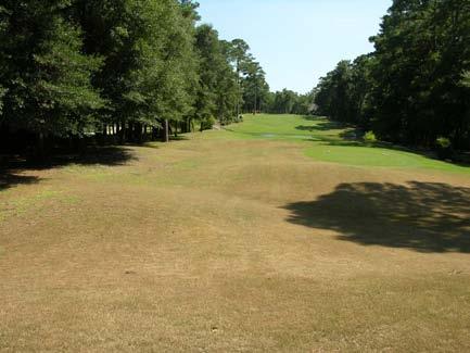 The #10 fairway is the only one that has only a few bare spots that are still thin from last season s overseeding. 5.