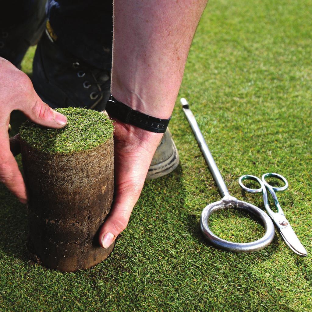 taking care of the soil Aeration of the soil is undertaken to maintain healthy turf so that surfaces can be fine tuned for play.