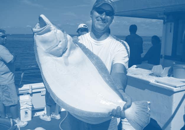 Based on the 2008 stock estimates, the Commission and MAFMC voted to increase the 2009 summer flounder TAL by 2.68 million pounds to 18.45 million pounds.