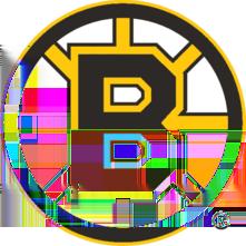 Boston Bruins Record: 43-24-6-9 101 Points 1st Place - Northeast Division Lost - Eastern Conference